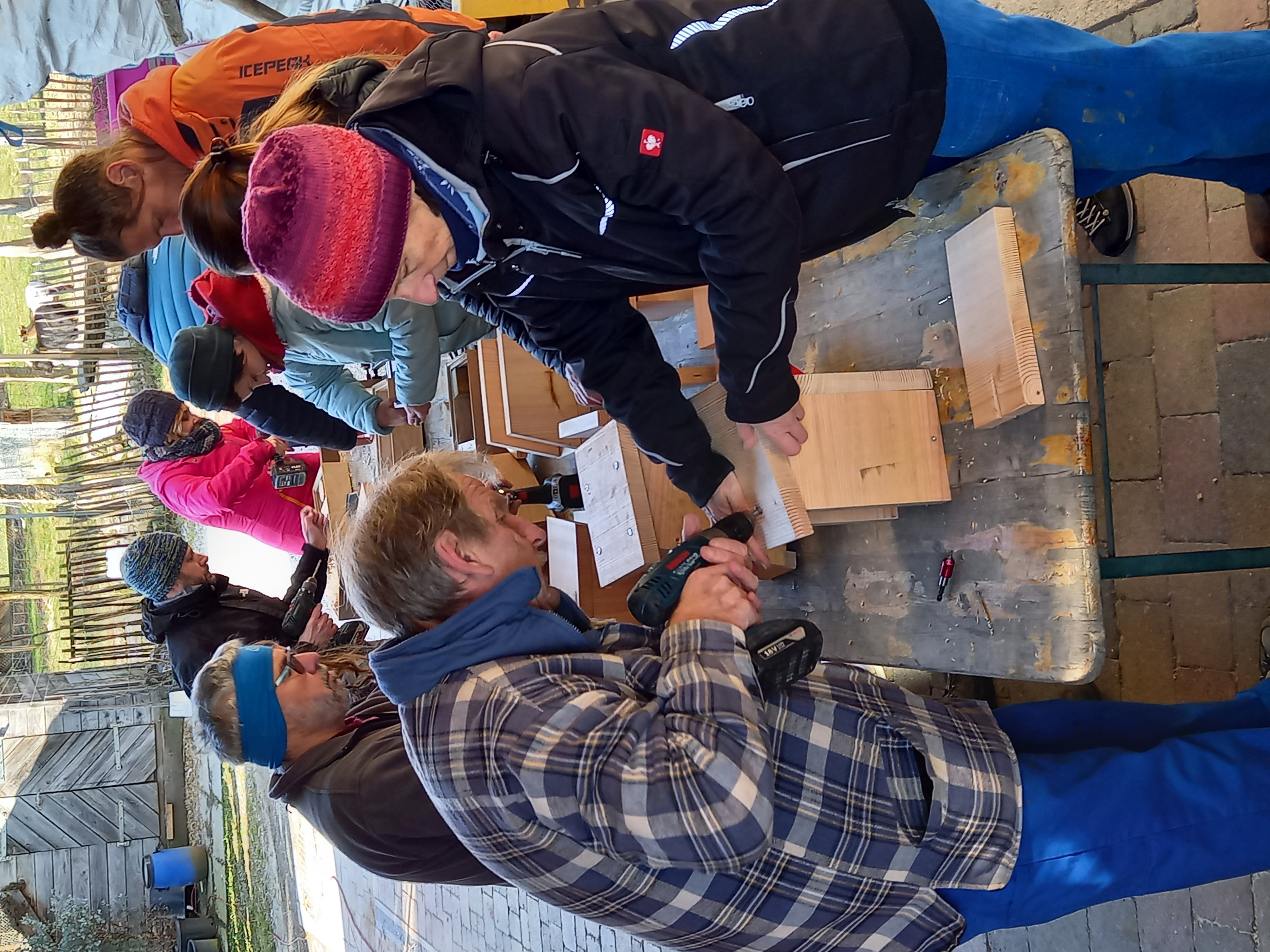 Vertieft in die Arbeit: Nistkastenbau