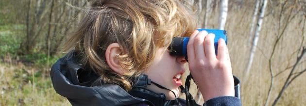 Beobachten mit dem Feldstecher