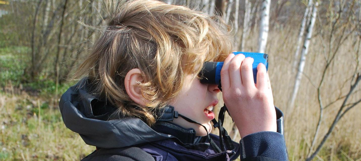 Beobachten mit dem Feldstecher