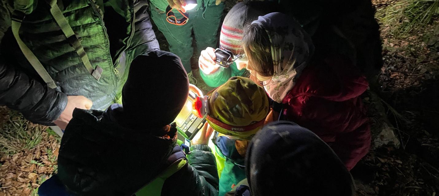 Beobachtung der Feuersalamander im Licht von Taschenlampen