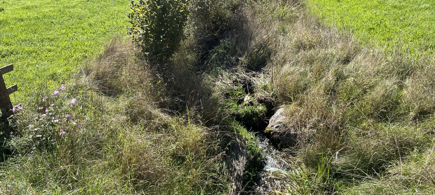 Foto eines klar erkennbaren Gewässerraumes