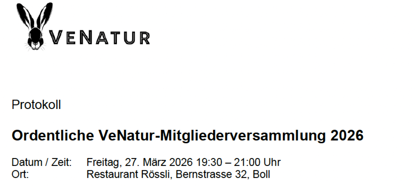 Header des MV-Protokollentwurfs 2029