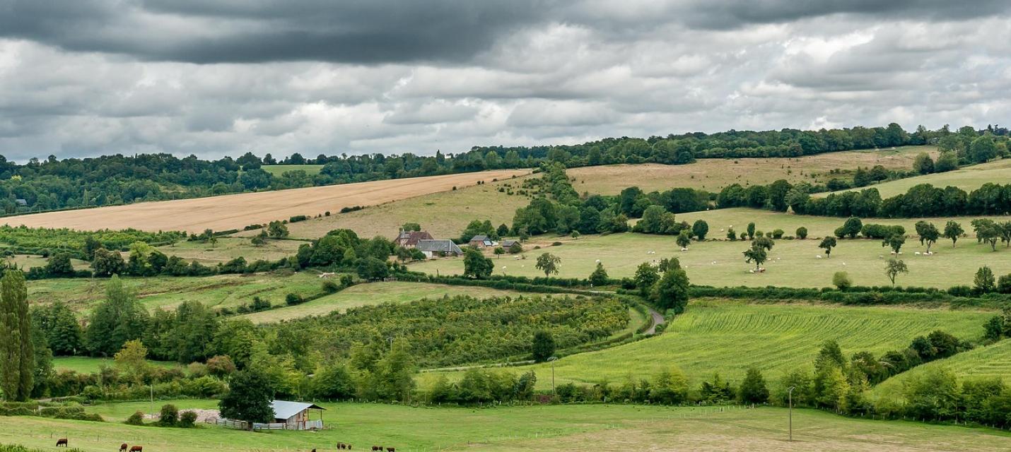 Eine Heckenlandschaft in Frankreich