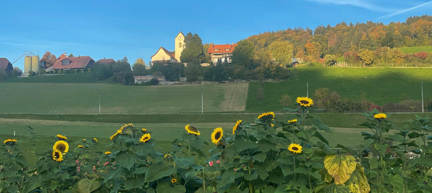 Landschaft Vechigen Dorf