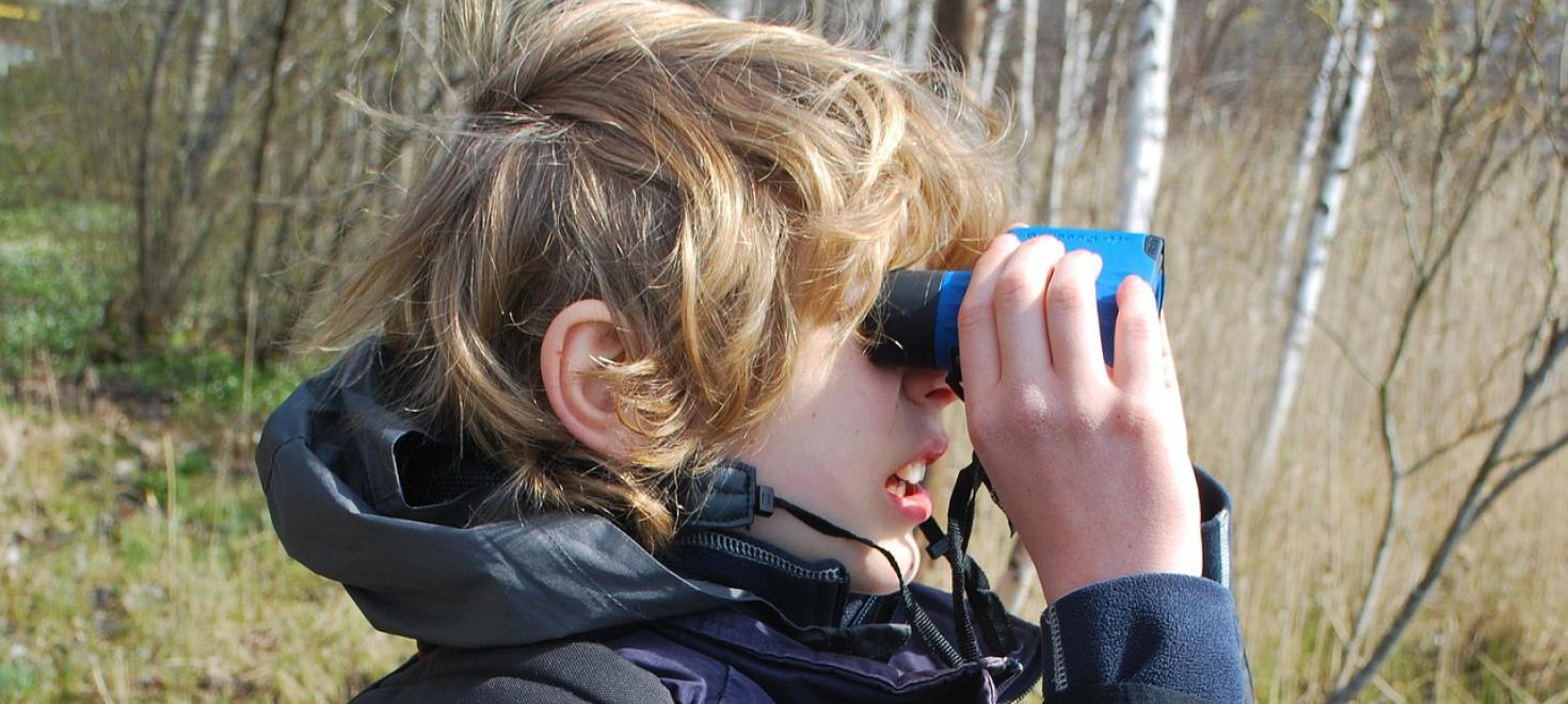 Beobachten mit Feldstecher