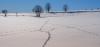 Tierspuren im Schnee
